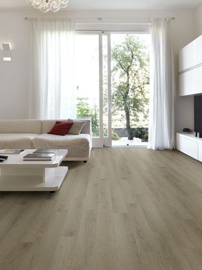 Evolve Interiors